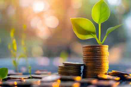 Pflanze wächst aus Münzstapel